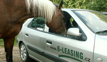 B-LEASING